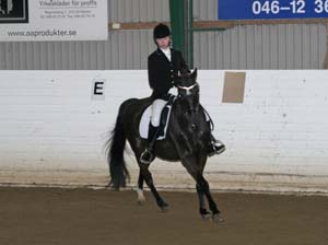 20080406_122652 Linda Hardbrant Mazette